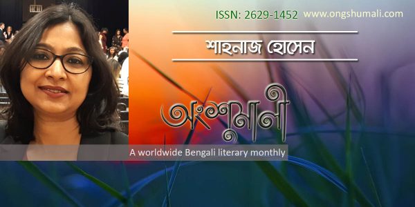 বাদল মেঘের আলোয় (শেষ পর্ব)